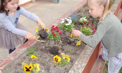 djeca vrtić vrt cvijeće
